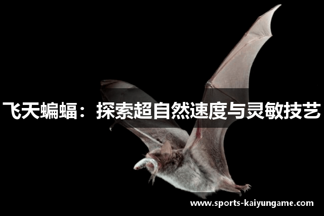 飞天蝙蝠：探索超自然速度与灵敏技艺