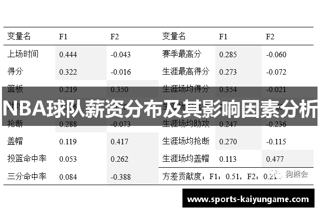 NBA球队薪资分布及其影响因素分析