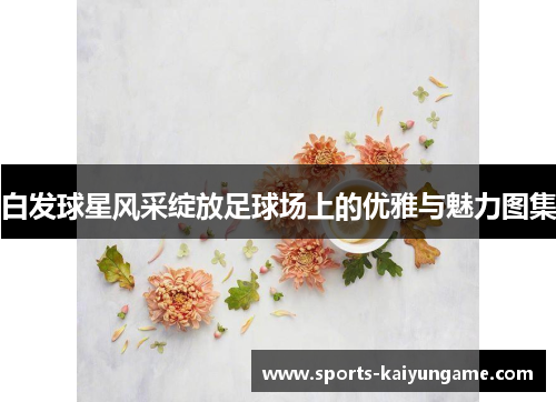 白发球星风采绽放足球场上的优雅与魅力图集