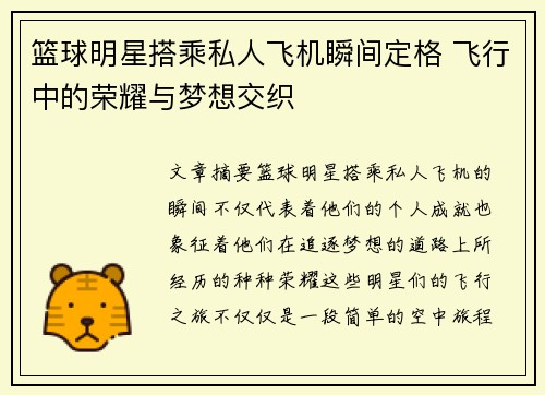 篮球明星搭乘私人飞机瞬间定格 飞行中的荣耀与梦想交织
